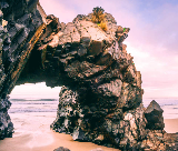 塔斯馬尼亞布魯尼島一日遊實測｜3個必知避坑點+超讚體驗全記錄✨