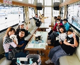 日月潭包船體驗｜擺脫觀光團擠爆！專屬私密空間太讚了✨