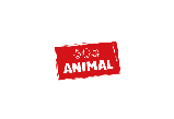 Germany Stuttgart Pet Supplies Exhibition
