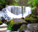 霍巴特一日遊實測｜費爾德山+皇家植物園避坑指南✨