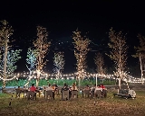 花蓮露營初體驗｜海放你基地帳篷裡看海！原住民故事超讚🤩