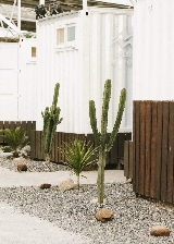 嘉義Night Out Village實測！美式漁村Glamping體驗夯爆細節🤩