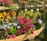 雲蘿植物園 城市裡的莫奈花園
