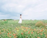 澎湖包車遊實測｜在地司機帶玩！超讚自由行不踩雷🚗