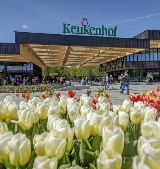 「2025庫肯霍夫實測」阿姆斯特丹出發超順行程｜避坑指南收好💐