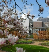 荷蘭宗德爾梵高故居實測｜3個必知預訂技巧+隱藏體驗亮點✨