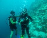 宿霧鯨鯊水肺潛水實測｜3小時車程抵玩到爆！避開浮潛人潮私享奇遇✨