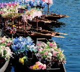 僅開3天❗️2026廣州水上花市已定檔