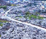 2026年清遠新春嘉年華