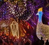 凱恩斯與大堡礁|馬年旅遊指南，精彩全年不停🐎