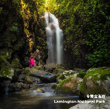 黃金海岸戶外露營⛺雷明頓國家公園專題