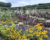 羅亞爾河谷一日遊實測｜從昂布瓦斯出發！城堡+酒莊超抵玩✨