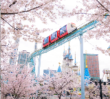 2026韓國櫻花季｜賞櫻名所必收藏，赴一場粉色浪漫之約🌸