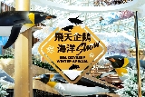 澳門美獅美高梅飛天企鵝海洋Show