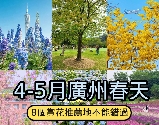 資訊圖片