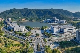 佛山新晉小眾打卡地!一起來看看吧