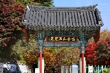 走近韓國國寶——佛國寺&石窟庵