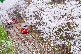 韓國首爾近郊旅遊必去——南怡島周邊熱門景點推薦