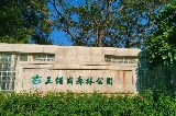 佛山新晉小眾打卡點——王借崗森林公園