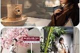 2025.3.30惠州市博物館喊你來看展&漢服體驗，定格千年文明的光影！