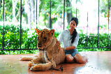 探索芭堤雅是拉差龍虎園:與猛獸的親密接觸