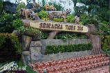 是拉差龍虎園VS野生動物園?