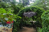 芭提雅大象村咖啡廳(Mongchang Cafe)