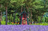 京畿道加平，你不知道的小眾打卡點——鼈島花園