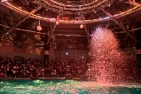 快看!東京水族館TOP推薦