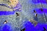 墨田水族館tips:去前必讀