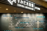 探索墨田水族館指南