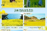 韓劇《苦盡柑來遇見你》濟州島同款地盤點
