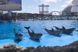 名古屋港水族館之旅