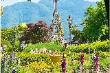 2025韓國蔚山大公園玫瑰園舉辦的玫瑰慶典