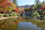 韓國慶州熱門景點:佛國寺