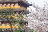 穿越千年新羅!韓國慶州日與夜一日遊全攻略 —— 跟團遊的 N 個心動理由