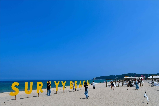 首爾出發|襄陽 Surfyy 海灘狂歡指南:解鎖韓國東海岸的夏日限定浪漫