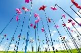探秘韓國 「最神秘邊境」｜坡州 DMZ 非武裝地帶一日遊