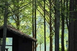 韓國江原道雪嶽山 + 洛山寺經典一日遊攻略：跟團探尋自然與信仰的雙重震撼