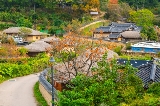 韓國慶州一日遊超詳細攻略：探秘古都歷史與風情