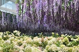 京畿道晨靜樹木園:探尋韓國四季流轉的自然詩篇