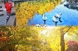 首爾近郊爆款一日遊｜萌寵治愈 + 韓劇浪漫 + 鐵道騎行，解鎖韓國 3 大網紅玩法！