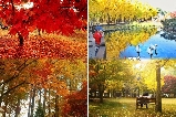 韓國爆款一日遊｜跟著韓劇明星足跡，打卡 4 大網紅景點！
