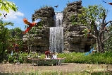 探索新加坡飛禽公園:交通指南助你開啓觀鳥之旅
