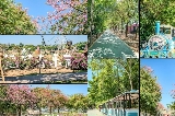 佛山夢裏水鄉百花園：四季皆美的花海秘境與親子樂園