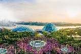 新加坡濱海灣花園暢行指南:地鐵公交自駕全get,零迷路直達夢幻花園!