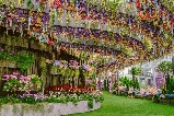 新加坡奇幻花園攻略：沈浸式體驗夢幻植物王國