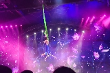 佛山長鹿旅遊休博園大馬戲：一場震撼靈魂的視聽盛宴
