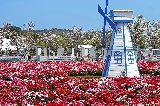 🌼逃離城市，邂逅佛山盈香生態園的繽紛時光