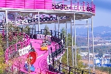 🔥速度與激情|佛山盈香生態園卡丁車體驗全攻略